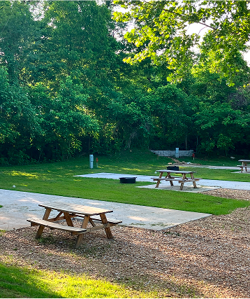 A grassy campground with several empty picnic tables and concrete pads, surrounded by lush green trees under bright sunlight—perfect for those seeking Cabin Rentals and RV Park in Galena MO.