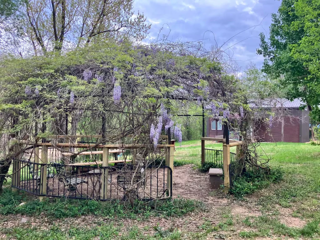 A wooden gazebo covered in blooming wisteria vines stands amid green grass and trees. Inside is a picnic table, while a small building hints at cozy cabin rentals and RV park in Galena MO, all beneath a cloudy sky.